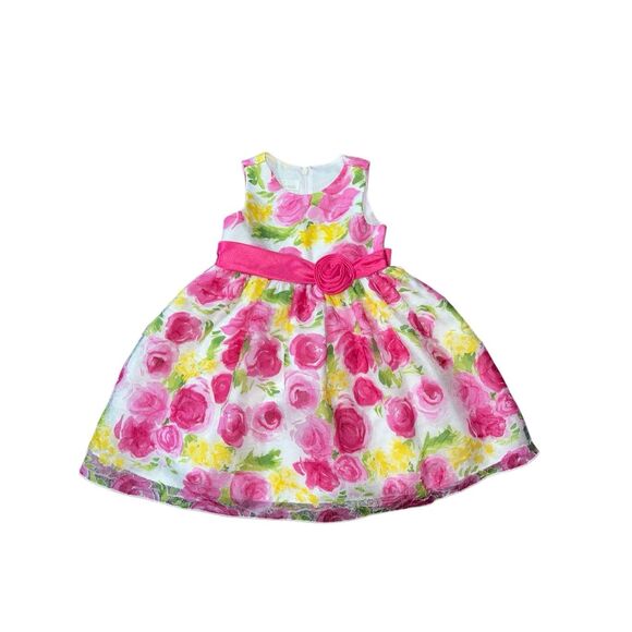 American Princess 2T Party Dress Floral Flower Girl Tulle Sleeveless Elegant - Picture 1 of 10